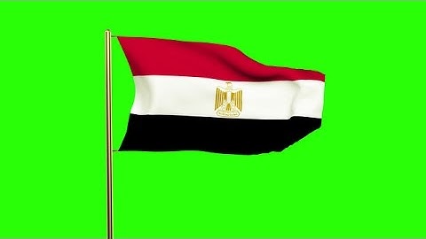 Egypt Flag Waving In The Wind. Green Screen, Alpha Matte. Loopable Animation Stock Animation