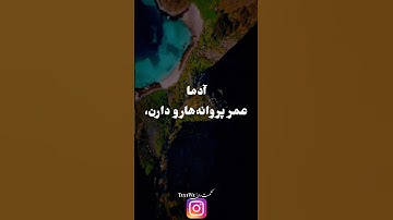 همینه نه؟🥹 #پشه #پروانه #خون #گل #اکسپلور #یوتیوب #یوتیوب_فارسی #استوری #اینستاگرام #شورت #شورتس