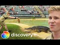 Robert Irwin alimenta crocodilo que atacou seu pai | A Família Irwin  | discovery+ Brasil