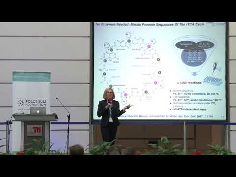 SPP Berlin 2018: Kamila Muchowska (CNRS) - The origin of life on Earth: metabolism without enzymes?