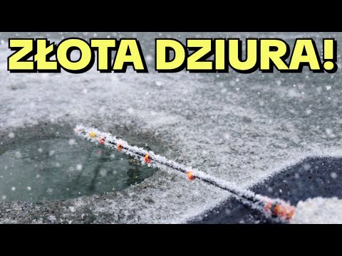 647 ZŁOTA DZIURA I LINY! WODY PZW Z DZIECIŃSTWA - POLICJA! WROCŁAW
