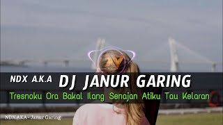 DJ JANUR GARING - NDX AKA REMIX SLOW BASS