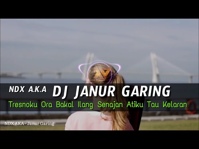 DJ JANUR GARING - NDX AKA REMIX SLOW BASS class=
