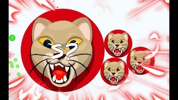 The BLOB.IO Yolo God🔥🔞