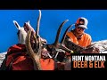 Montana Deer &amp; Elk Application Strategy 2022