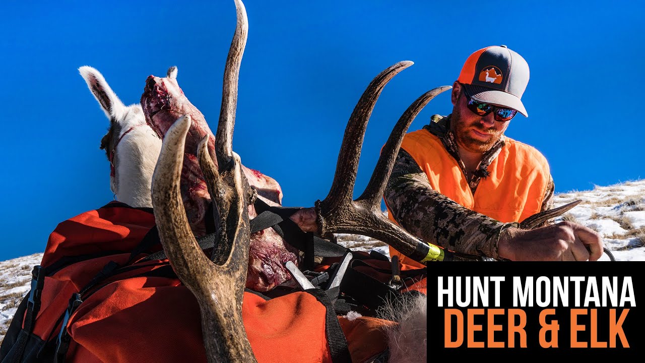 montana-deer-elk-application-strategy-2022-youtube