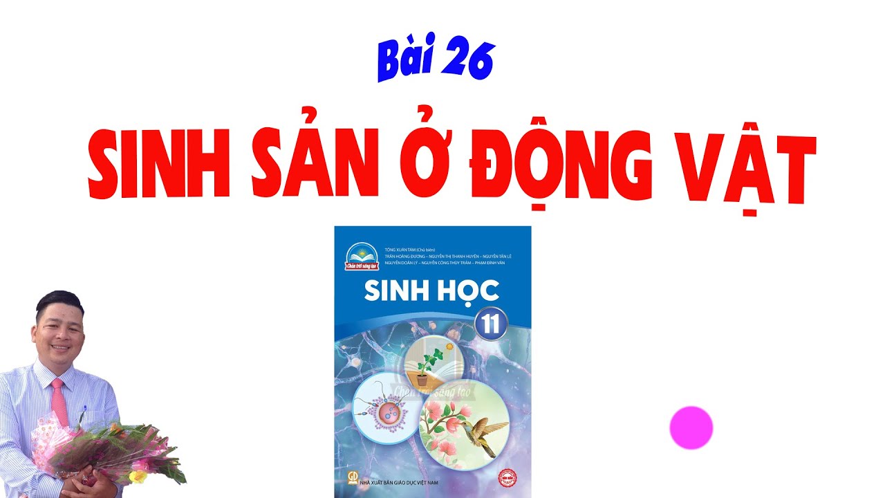 Sinh 11 CTST_Bài 26 Sinh Sản Ở Động Vật