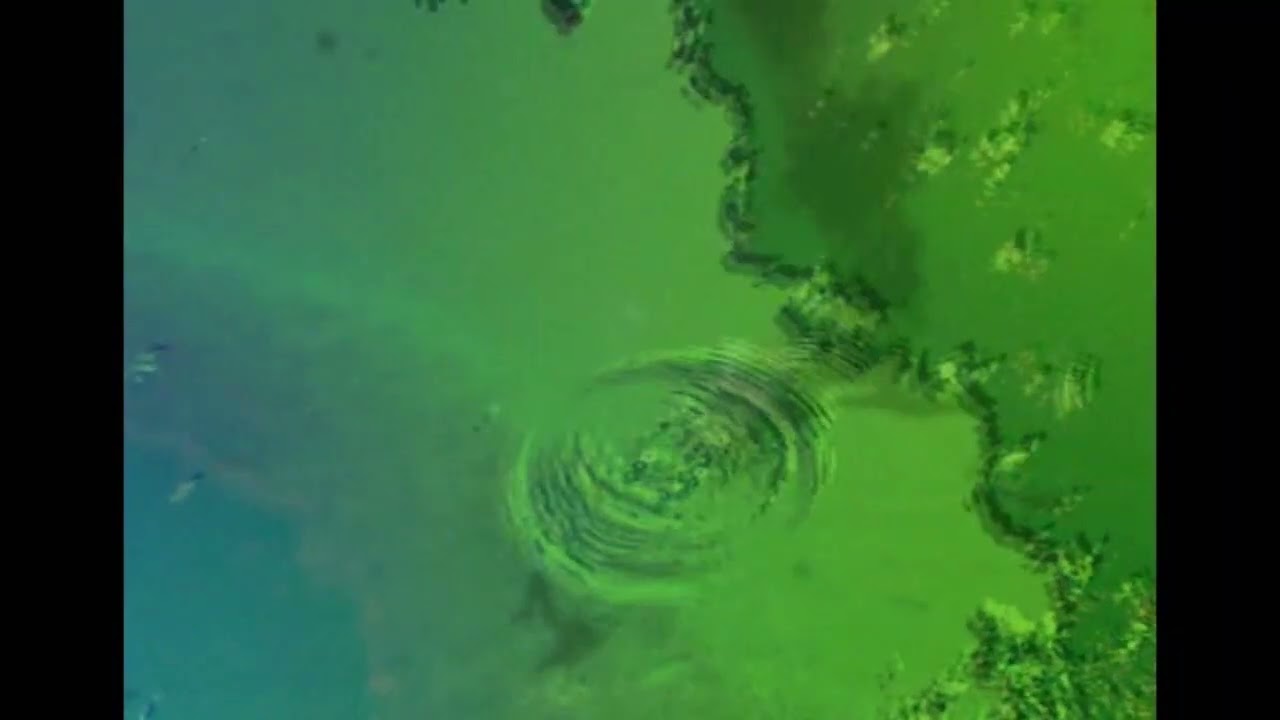 Verstaubte Psychedelische Reise