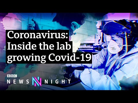 what-is-coronavirus-and-how-does-it-attack-the-body?---bbc-newsnight