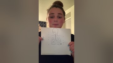 Video Presentation Module 9