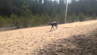 IMG 4567