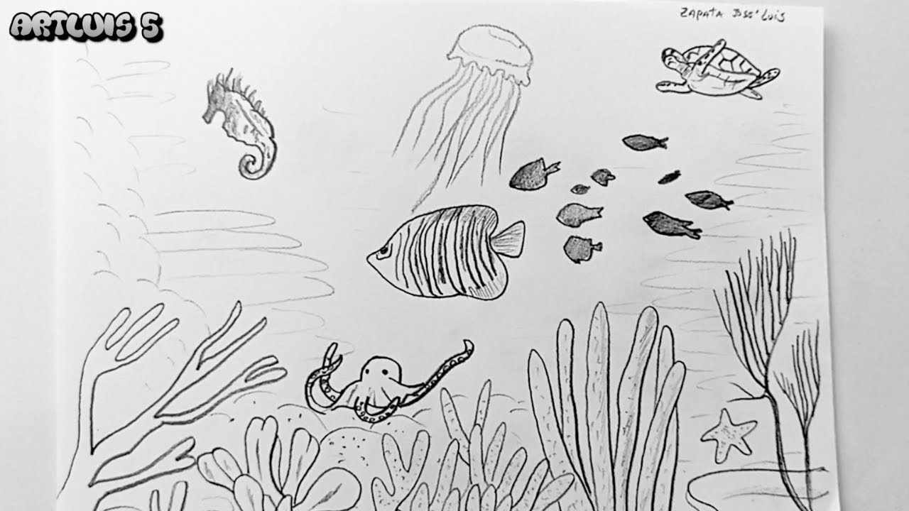 Como desenhar o fundo do MAR | Paisagem marinha - YouTube