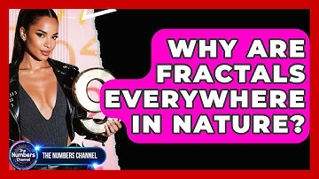 Why Are Fractals Everywhere In Nature? - The Numbers Channel