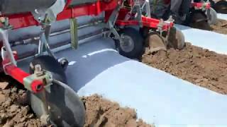 PS Star model Plastic Mulch Layer and Bed Former by C&M (Checchi & Magli) laying plastic