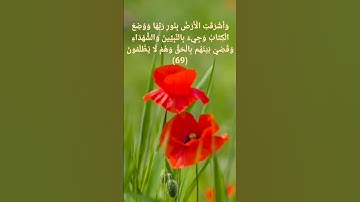 #واشرقت الأرض بنور ربها #تلاوه خاشعه -بصوت رائع