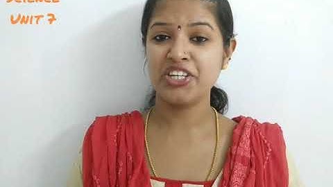 Grade 6/ Unit 7 Attraction and Repulsion/ Part 1/ Page No:88-90