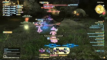 FFXIV Dungeon  Brayflox