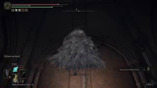 #Elden Ring|Shawdo of The Erdtree NG+6