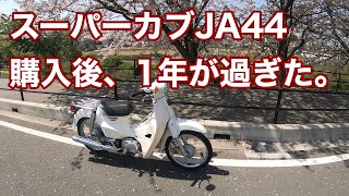 スーパーカブJA44  購入後、1年が過ぎた。