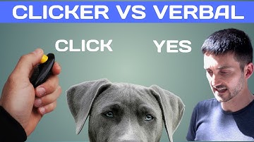 Clicker vs Verbal Marker Dog Training. Do This!