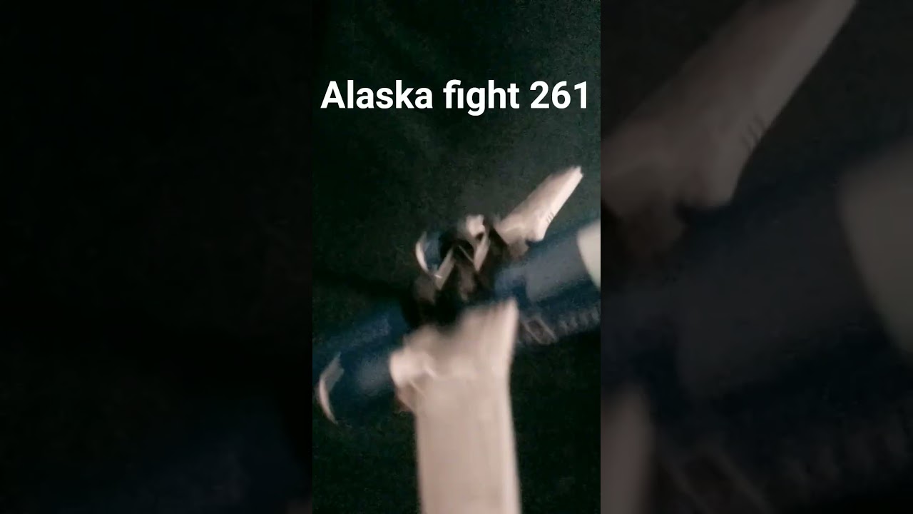 Alaska fight