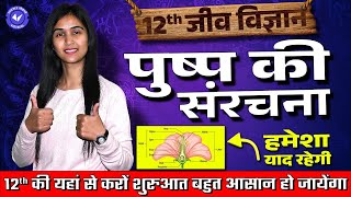 पषप क सरचन Structure Of Flower Cl 12 Biology Hindi Medium By Shalini Maam