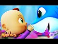 Baby Shark + More Animals Nursery Rhymes &amp; Kids Songs