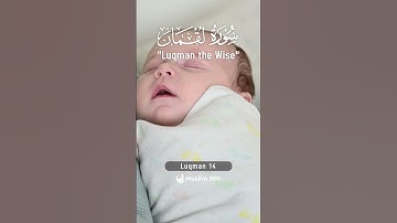 Surah Luqman (Luqman The Wise) 14  | Urdu | Hindi Audio Translation HD | سورة لقمان