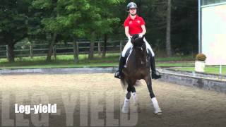 Phoebe Peters demonstrates how to ride different lateral movements
