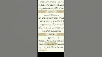 سورة التكاثر باجمل ترتيل #العراق #قرآن #سعدالغامدي @SheikhSaadAlGhamdi