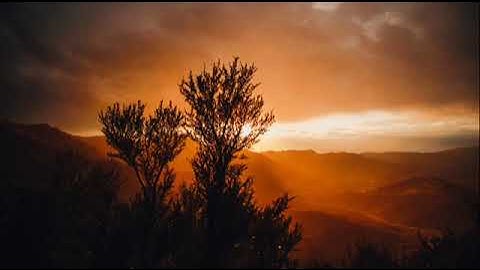 ما أجملها تلاوه عذبه ترق لها القلوب  عبدالإله الأنصاري