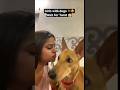 Wait For End 🤣 Dog Catch Up #shorts #ytviral #dog #streetdogrevival #pets #animals