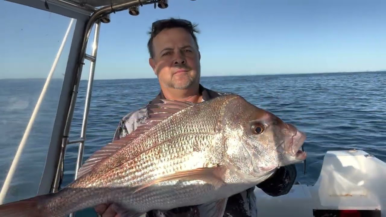 Мелководный люциан, мыс Мортон