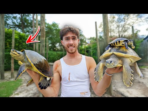 I Surprised Him With RARE Rescued Baby Turtles For The Backyard Pond!!