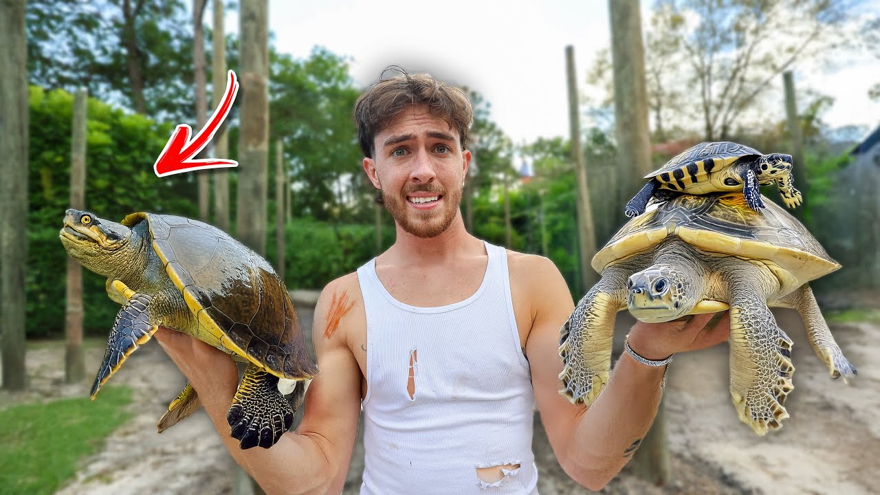 Я сделала ему сюрприз, подарив ему РЕДКИХ спасенных детенышей черепах для пруда на заднем дворе!!