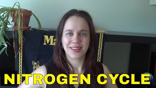 The Nitrogen Cycle : How to Cycle your Aquarium & Troubleshooting