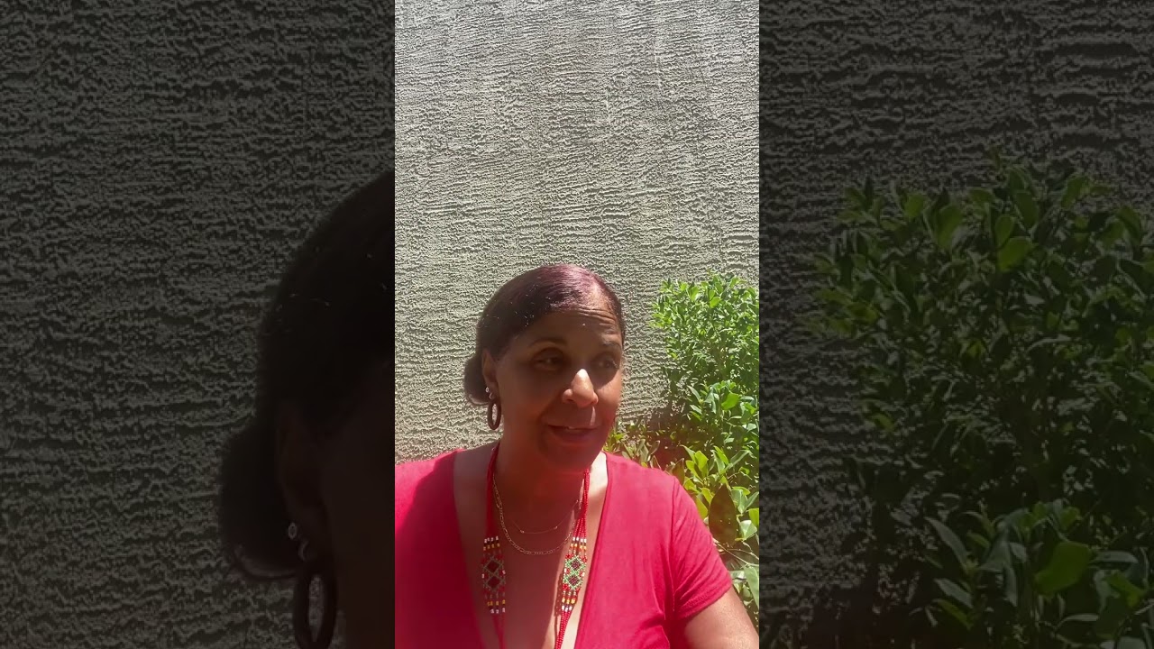 Starlilly Birthing Services Holistic Birthworkers Program 