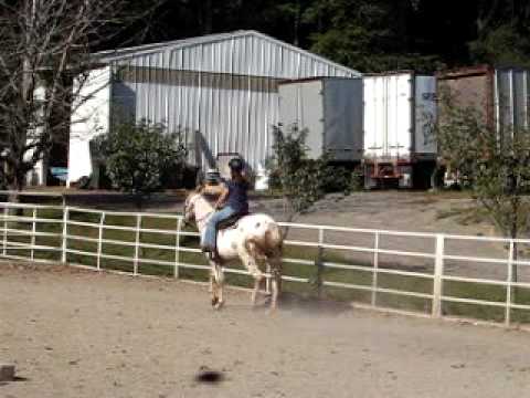 Horse back Riding