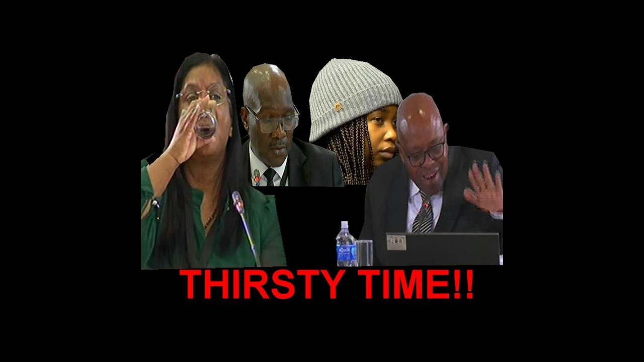 Prosecutorial Independence and Section 27 Referrals