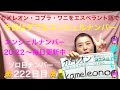 【222日目】　#エンジェルナンバー 　#222    ■ カメレオン　■ コブラ　■ ワニをエスペラント語で‼️ #語学 #暗記  #2022  #ワニ #カメレオン #コブラ #夢占い
