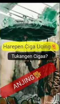 Lagu Buat Teman Yang Nikung (Asep Balon - HAKAN TAH KU SIA)