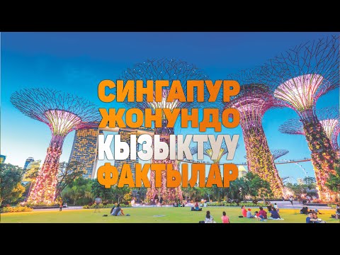 Video: Сингапурда кайсы музей бекер?