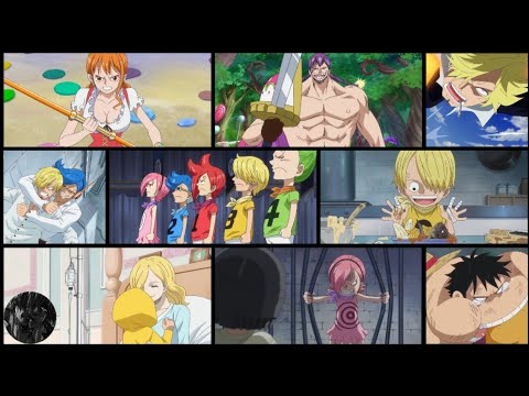Video One Piece Episode 803
