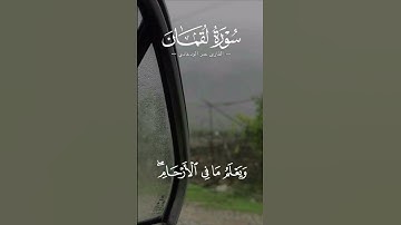 #القارئ #عمر_الودعاني #لقمان #سورة_لقمان | وما تدري نفس ماذا تكسب غدا وما تدري نفس بأي أرض تموت