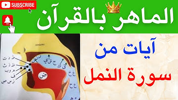 اسبحان الله جمال وروعة البحر مع تلاوة القران  دورة متكاملة في تعلم تجويد وحفظ القرآن احمد البربرى