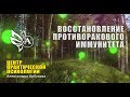 Восстановление противоракового иммунитета. Практическое занятие