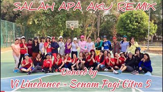 Salah Apa Aku Remix  ( Entah apa Yang Merasukimu ) - Line Dance