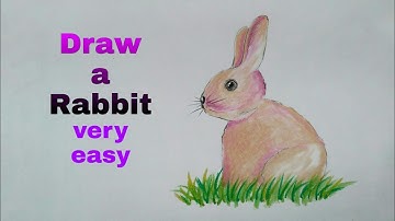 How to drawing a Rabbit or bunny- in easy steps advanced tutorial (art video)