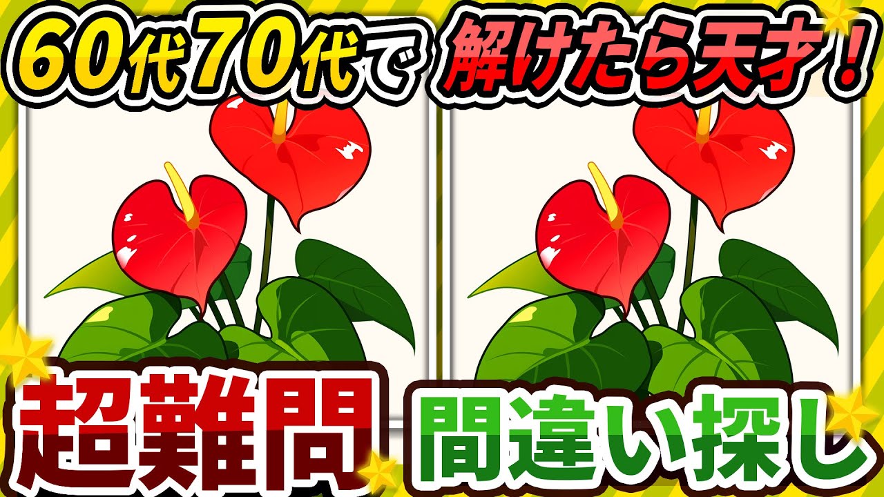 【間違い探しクイズ】⚠️むずかしいアンスリウムのイラスト編！脳活＆脳トレにおススメ無料ゲーム【アハ体験有り】#177