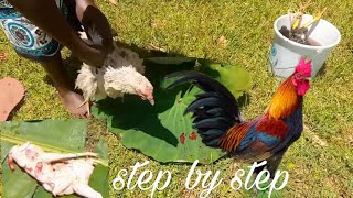 How To Slaughter A Chickenstep By Step For Beginners